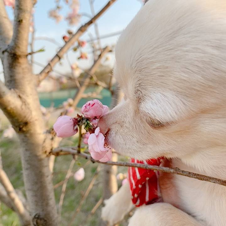 F190c1a5 4f23 4935 994c ae0e7f60d79c 1616158929946