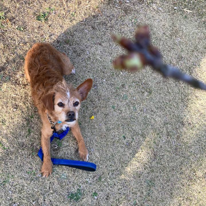 F190cb05 d609 4271 a95b 6a1322497c55 1647421338210