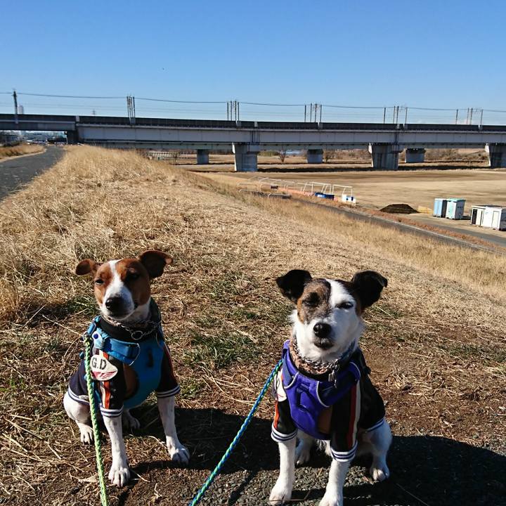 F191049e e638 476c bd86 7578c0fb9574 1610511676219