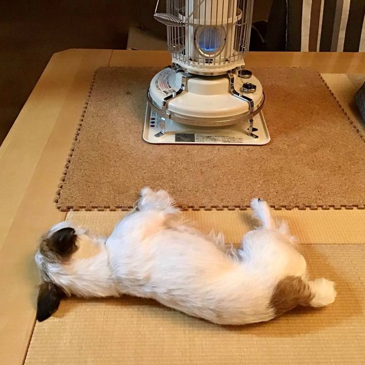 F191068a 8c95 4c27 b89b a42b96104e4b 1617622418742