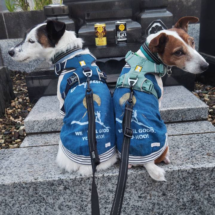 F19141a9 d205 4ac5 b431 915a69345cfc 1758638275399