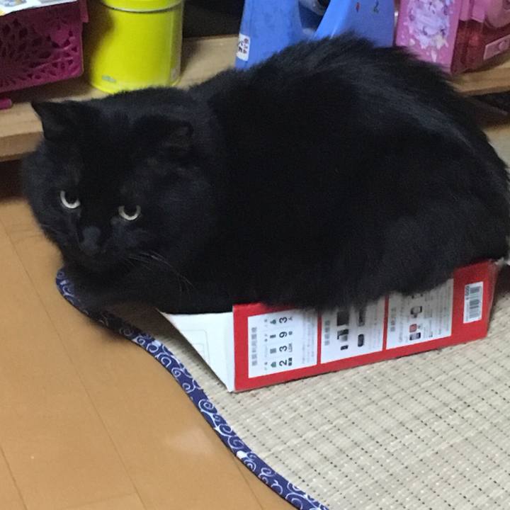 F19153d4 897b 4c26 aa12 fce5b1592a06 1536761721312