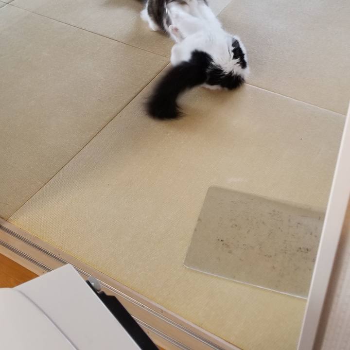 F1915d0a e7bc 4164 8714 fae6b86aa640 1588122176275