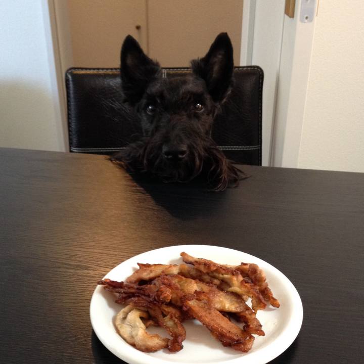 F191a417 a8f3 42f1 8311 53ad8e0f9d9b 1547290007469