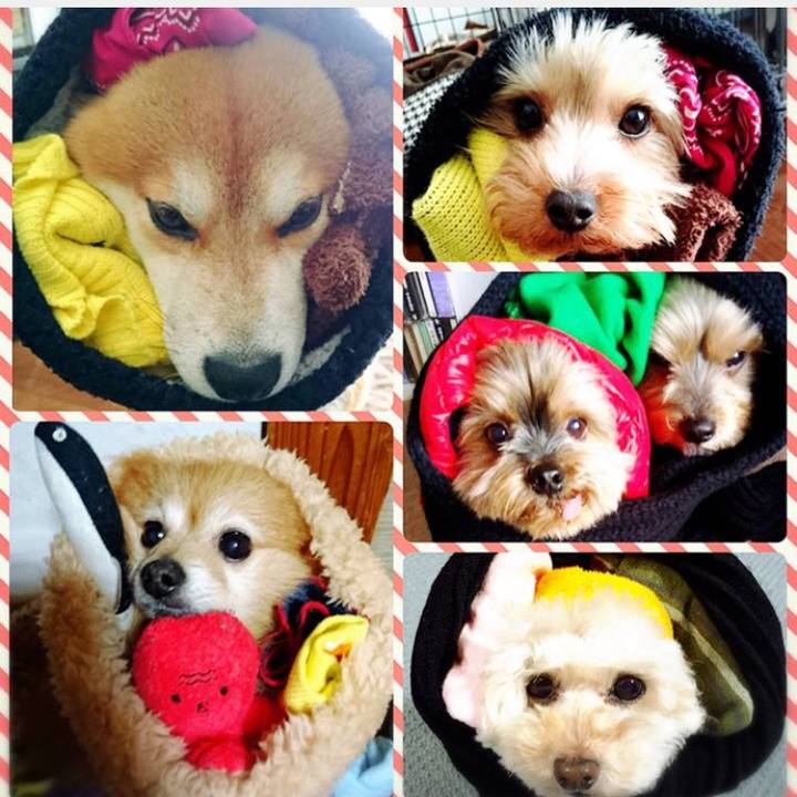 F191bdd0 73d7 457b 88ff f405f0fd3c81 1517569478920