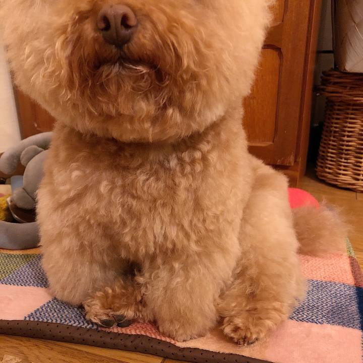 F191de44 8132 4a8a bd9b 7528c1597280 1545043593120