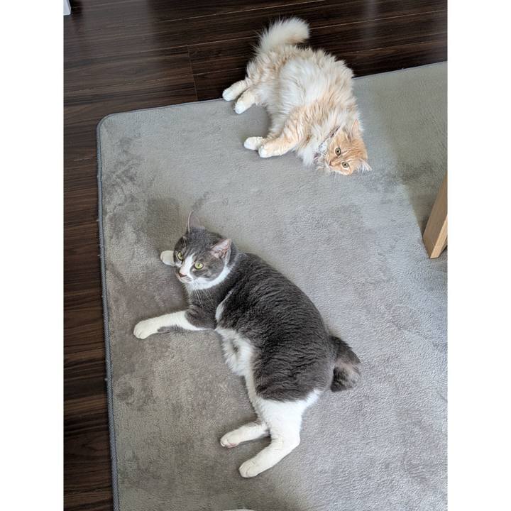 F191f6ac 93ad 48cf ab52 05d56d6b0b9a 1745212968484