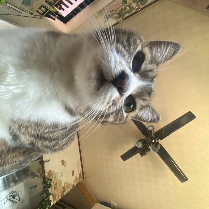 F191f72a a549 4754 a364 a836c26f08a2 1717812750679