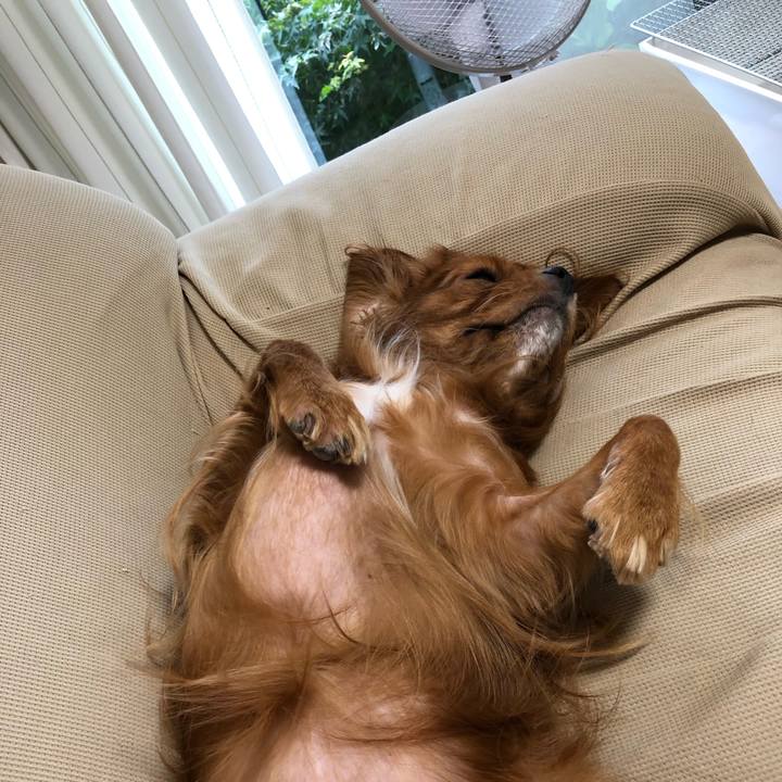 F191fa76 798d 45c7 bf7a 95472f6e1e63 1567240336195