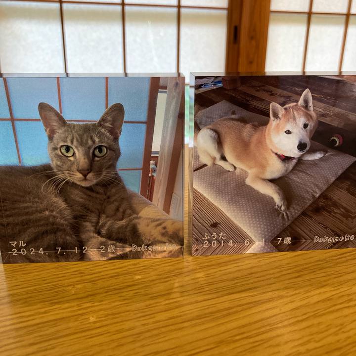 F1921343 952e 4be1 979d 0918f09ec0bf 1750576110183