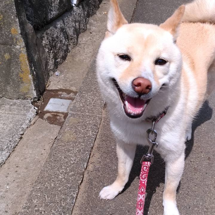 F1925653 a2d4 4003 bb03 714baaf3ad53 1558510541413