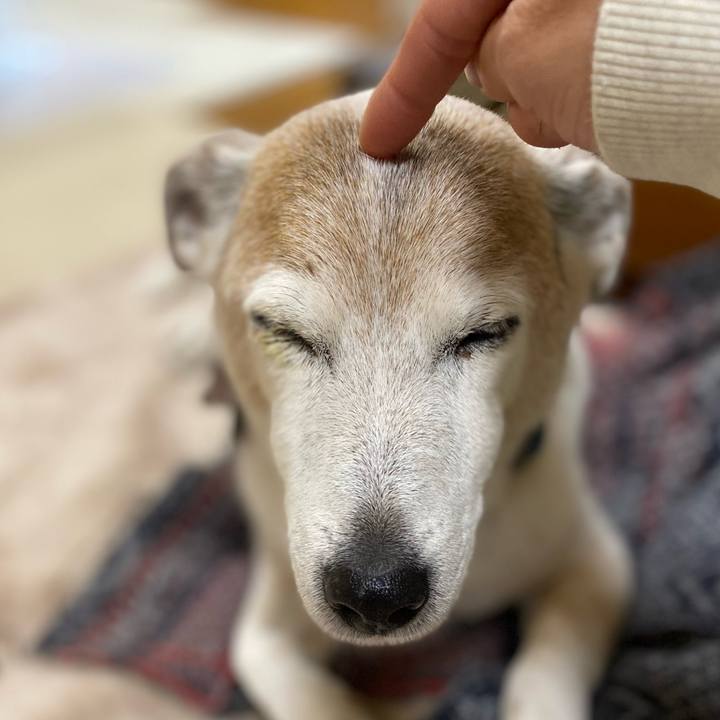 F192636f 6f5c 4a6f a6e2 ce66bffd0e42 1682209396634