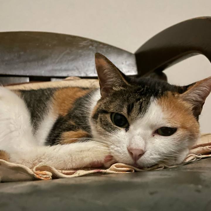 F1926617 fcef 41ce 9995 7394a69acc1c 1665143902286