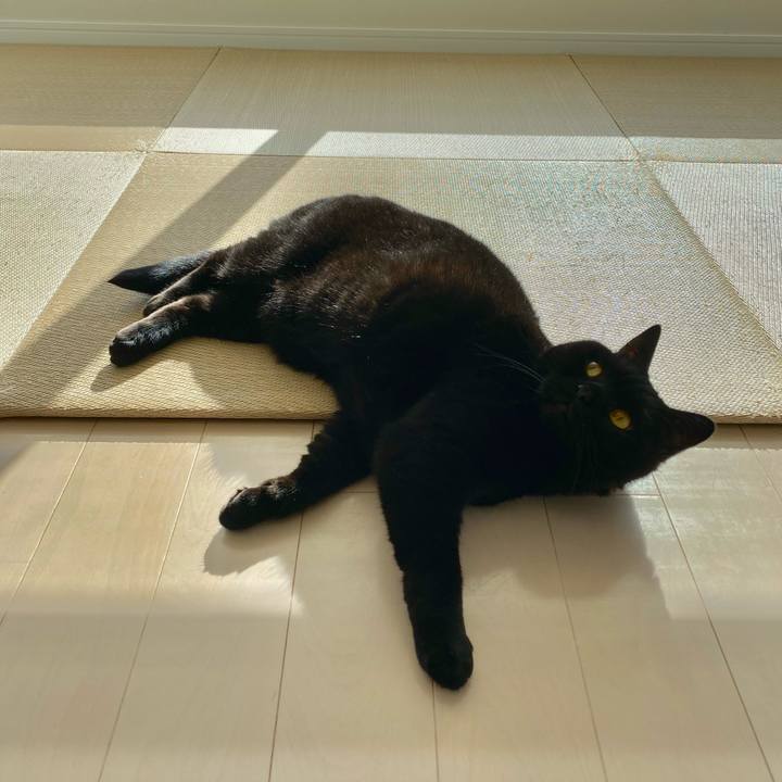 F1926c7e 3881 4fc6 b560 4700cb2cd1ec 1746073421339