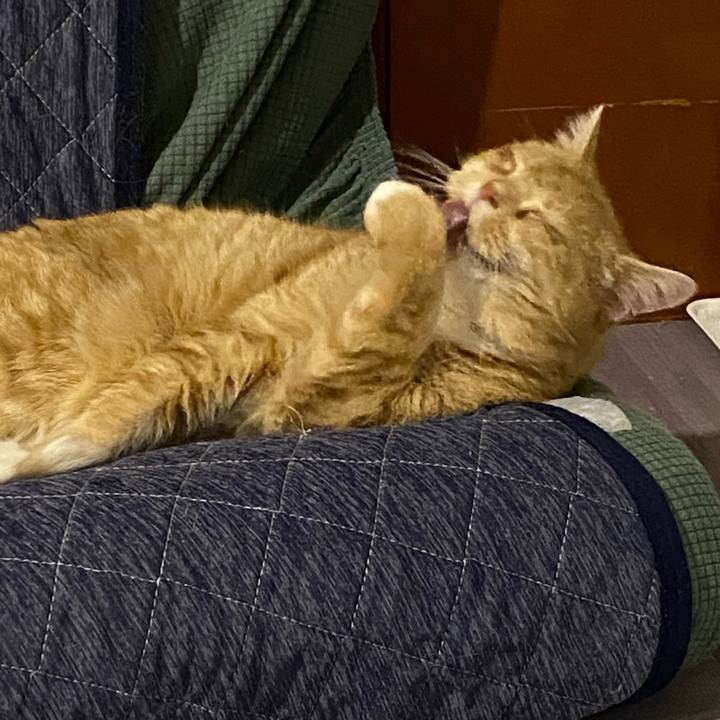 F192a013 13c8 4b84 88d8 3901318e6e57 1643808038441