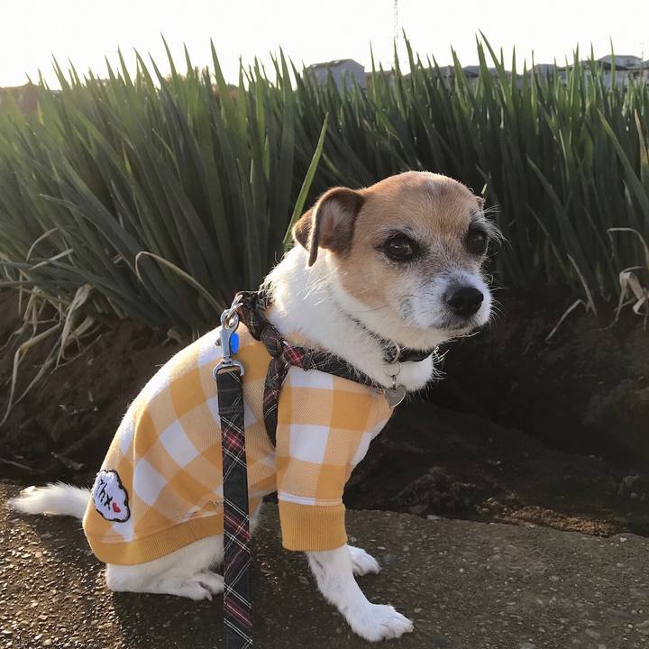 F192a6dd 7952 4647 907b 5899f381ca2b 1576134701292