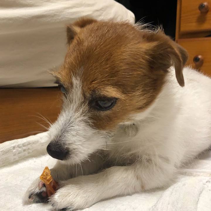 F192d1cc 61d1 4987 9400 1133071bbf13 1553607917556