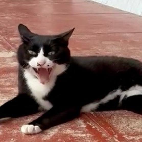 F192f11d d36a 4000 981d 043e80c0c2c5 1749609989173