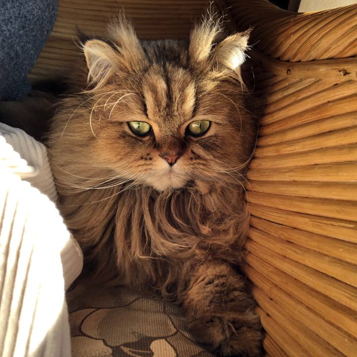 F192f1d1 088a 4e3b 8982 60eb70b6e24f 1582777117803