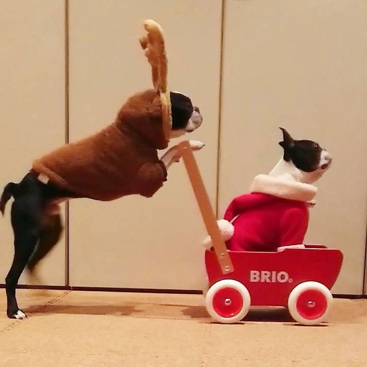 F192facf b40f 4729 8f6b f03cf99b1da4 1514113015061