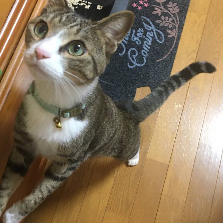 F1932f40 7027 4ee1 a401 91dbdd6e4b70 1700885823089