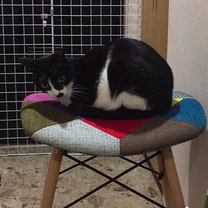 F1933300 3c54 4a4b 9bd5 95476fe7de5c 1526467045433