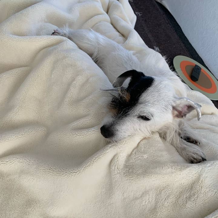 F1933c98 80f0 4b53 bacd feac5b9451c8 1674887162058