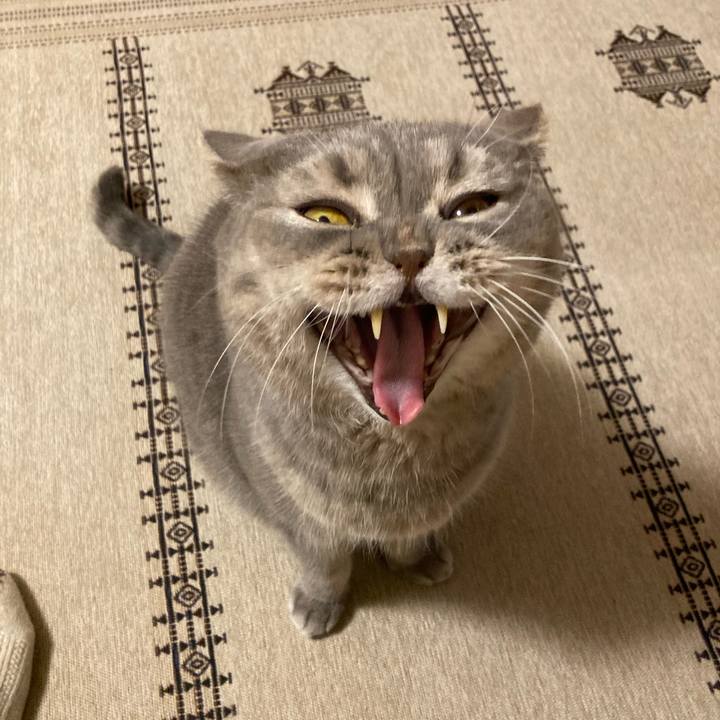 F19343e5 d925 424a ba0c 63617ff5f89a 1768438856463