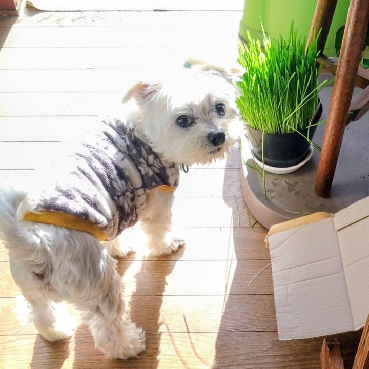 F1935d78 7ad9 4871 9001 131203241594 1764926513211