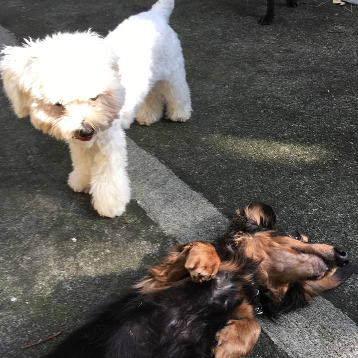 F193632a 2275 4fae 9356 23f42328c5c7 1540193565999