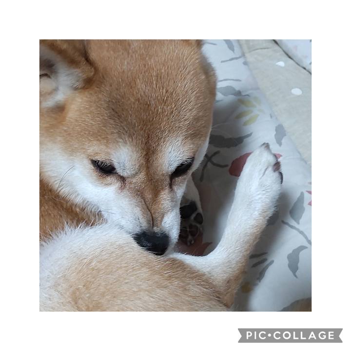 F1938c34 3126 4c42 8bfc 6122f20a44fe 1765112225013