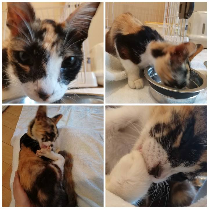 F193dee6 c0a6 47b6 822a 424dec43f7ff 1593489739042