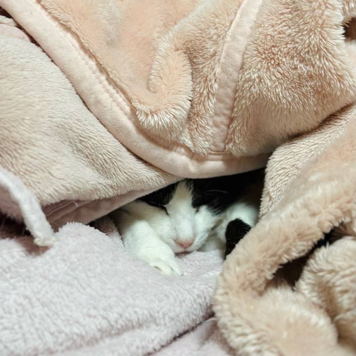 F193f6f9 3b00 4e27 b243 0cf8a960ed99 1676427030526