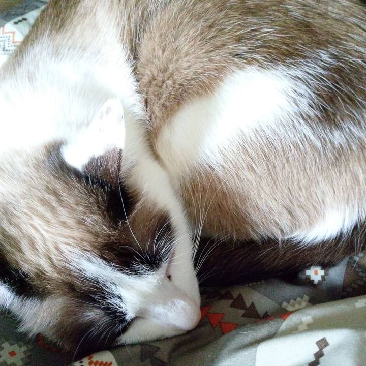 F1942e71 fa51 40fa 868b 23c6e916b559 1520342442414