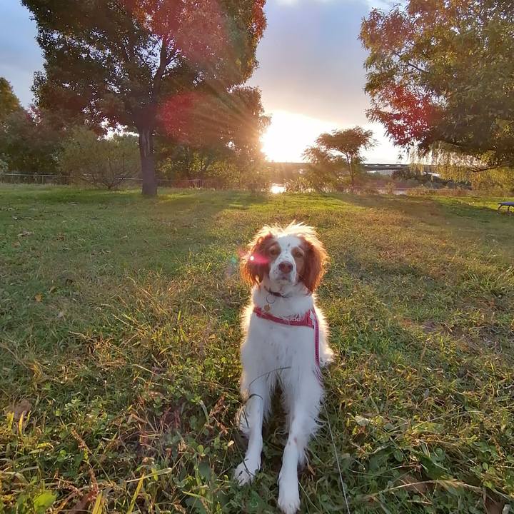 F19455f0 d219 4710 9548 393d8084952b 1604400736769