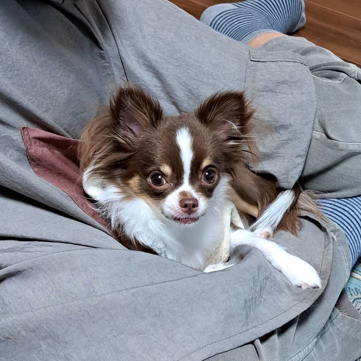 F194659e ed7a 4dd0 872c 553bc5e4fbee 1761312592945