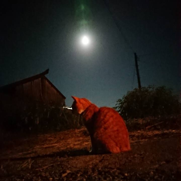 F194ca45 f614 4d3f b4ca 12b479eab959 1601289851042