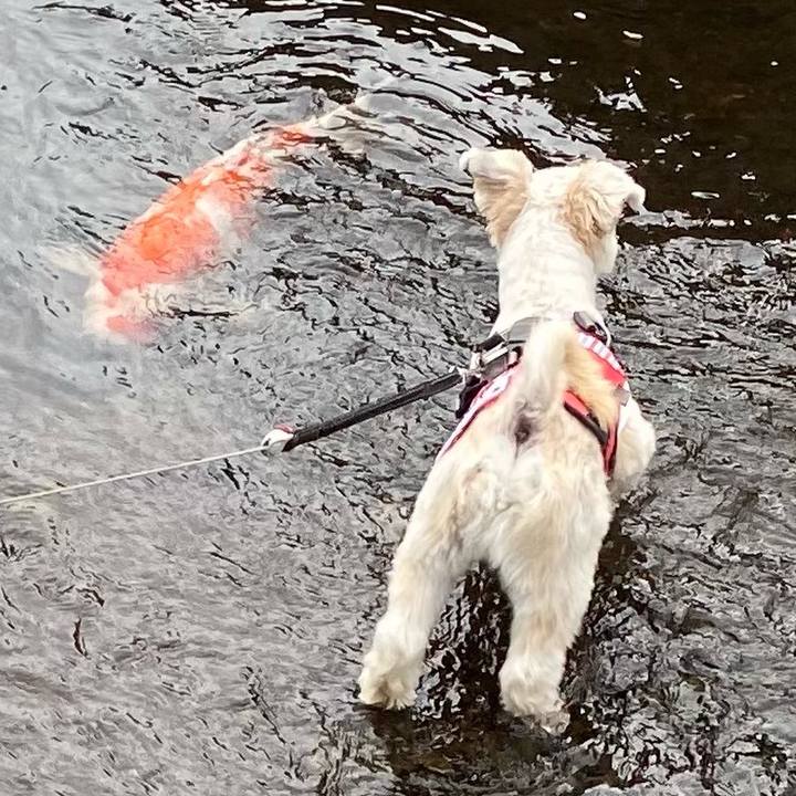 F194dc55 4876 49c8 aa6c 55f9951073cc 1604914705248