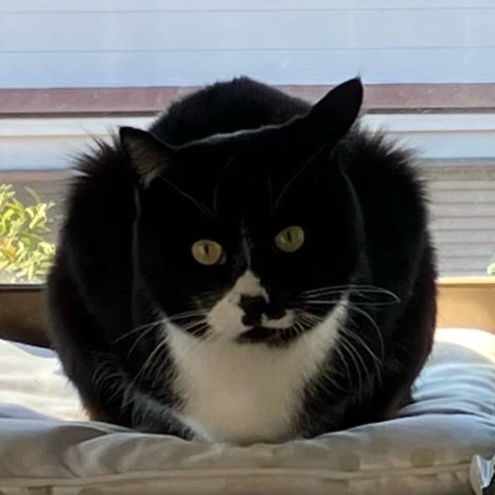 F194fe91 d9d7 495e 994f 122bf300fff2 1716868878042