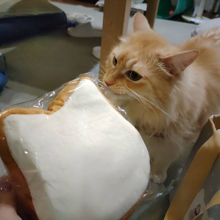 F1951bfe a254 4175 8521 929671c3edda 1722855788146