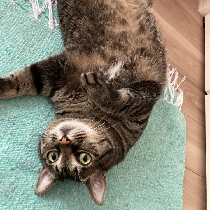 F1953325 1e87 4139 ba01 e0975fa26865 1717664536818