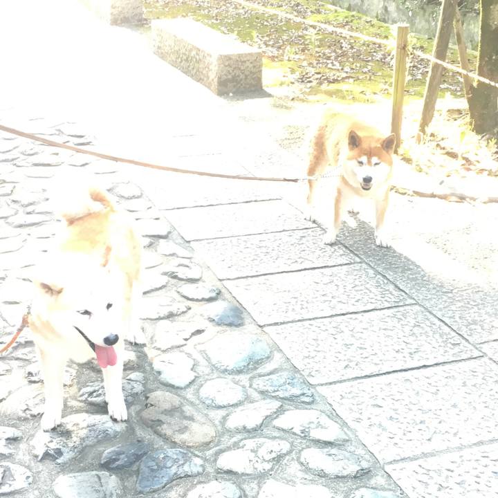 F195392d ffce 4ac2 ae2d 04936adc1b33 1531707774197