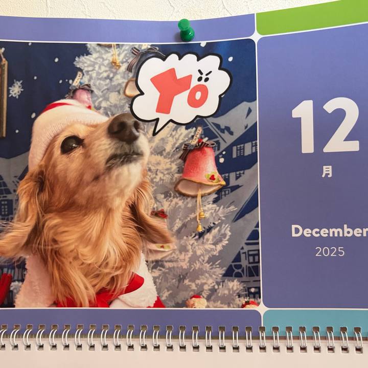 F19551ee e03c 4015 a55b 2f66e53670b6 1764568991364