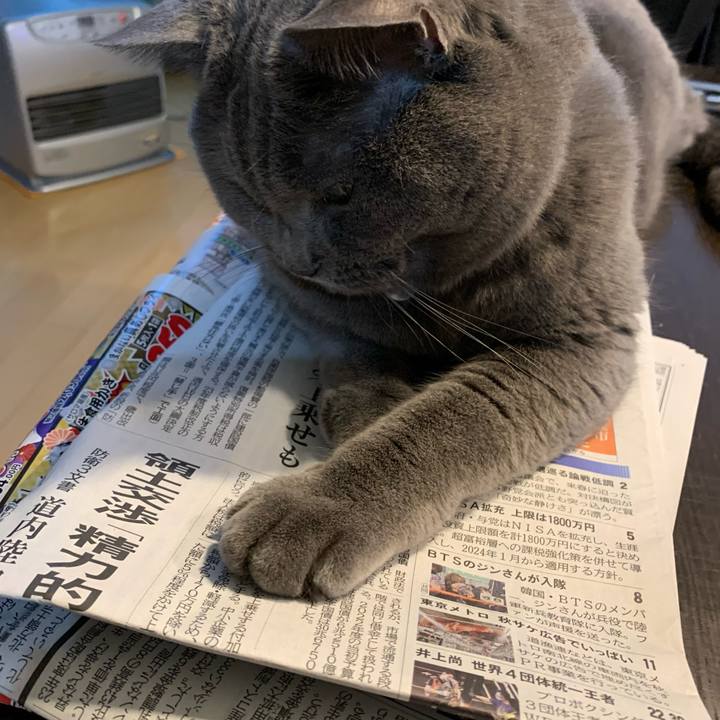 F1959ea6 25ea 4ce2 8a0a 061f22d917cd 1670969802483