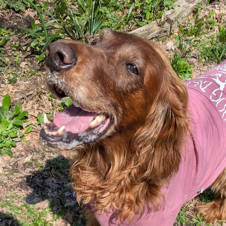 F195e9ef 4930 4e5a a7ce 49301234e241 1776049351787