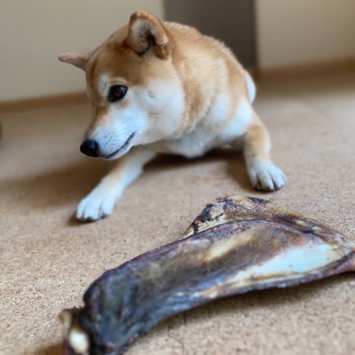 F195eba6 2924 4dd8 937c eb8c2a6de7ff 1652746659088