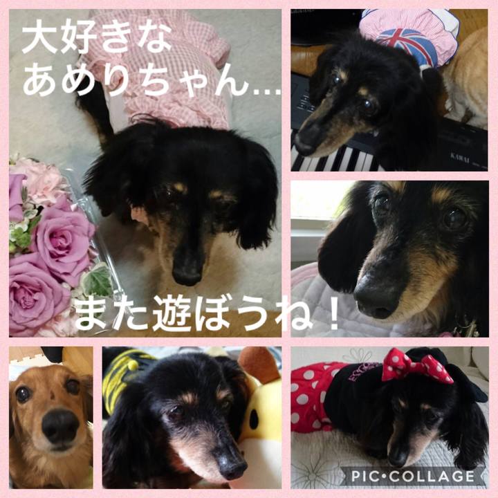 F195fe27 236b 4a87 8396 2a4e05c5101f 1531664984155