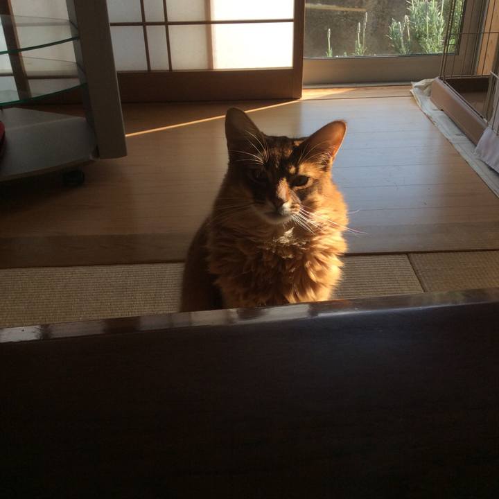 F1961f22 0395 403c 8938 6d033c190856 1615185539508