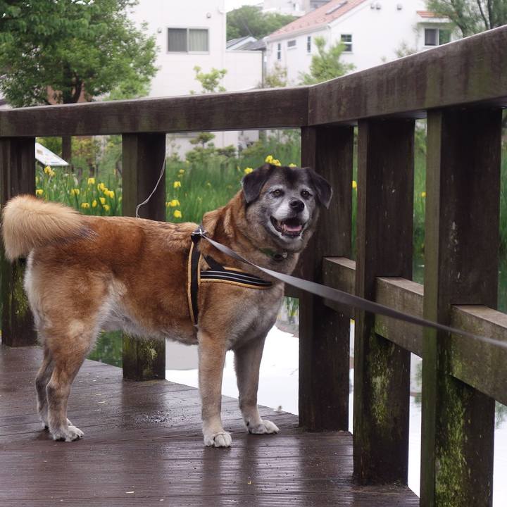 F19634ec 46c0 48fc 9600 0b2f17e9eb87 1636505611801