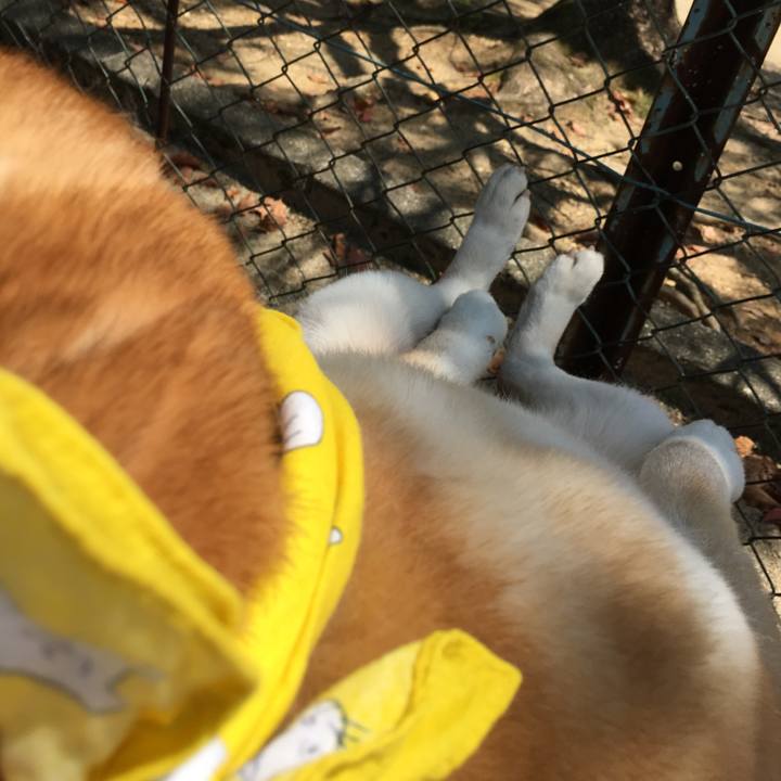 F1965153 9165 4cd4 b94a ca90699949ba 1524999936991